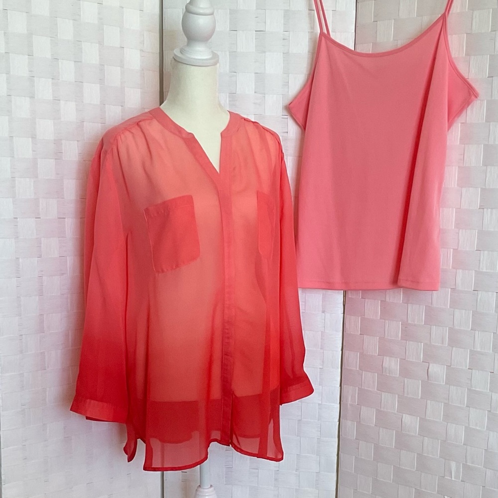 Covington Essentials Sheer blouse w/cami
